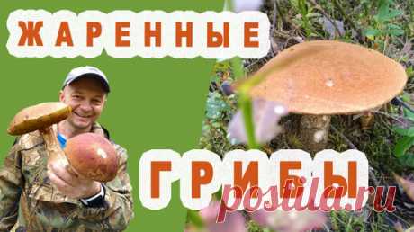 Жареные Грибы. Подосиновики. Очень вкусно. | Фуд-блогер Кремень | Дзен