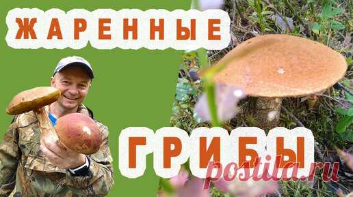 Жареные Грибы. Подосиновики. Очень вкусно. | Фуд-блогер Кремень | Дзен