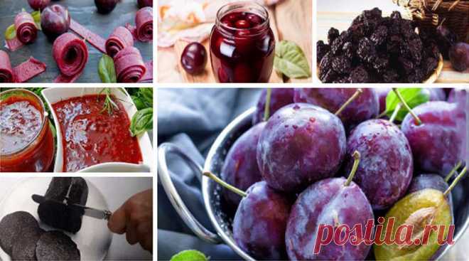 Самые вкусные заготовки из слив на зиму. 15 прекрасных рецептов!