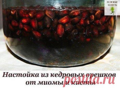 Одноклассники