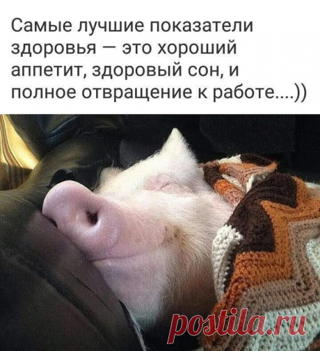 ТИХИЙ ОМУТ +18 – Google+