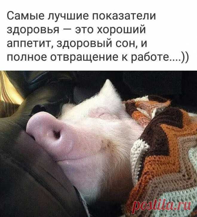 ТИХИЙ ОМУТ +18 – Google+