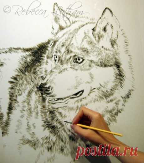 Живопись Timberwolf – отправная точка | Картины дикой природы и природы Ребекки Лэтэм