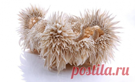 Фрактальные фарфоровые скульптуры Нуалы О’Донован (5 фото) | Чёрт побери Фрактальные скульптуры Нуалы О'Донован напоминают цветы, кораллы, морские водоросли и даже животных , обитающих в глубинах океана. А ведь они всего лишь сделаны из керамики. У одних скульптур миниатюрные лепестки-тычинки, у других цветастые широколистные клубни, у третьих — остроносые листья-тыквочки. Но все они волнуют воображение скульптурной живостью. Для ирландской художницы Нуала О'Донован (Nuala...