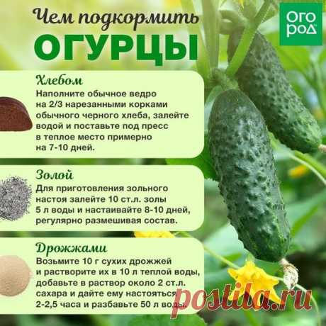Садоводам-огородникам на заметку