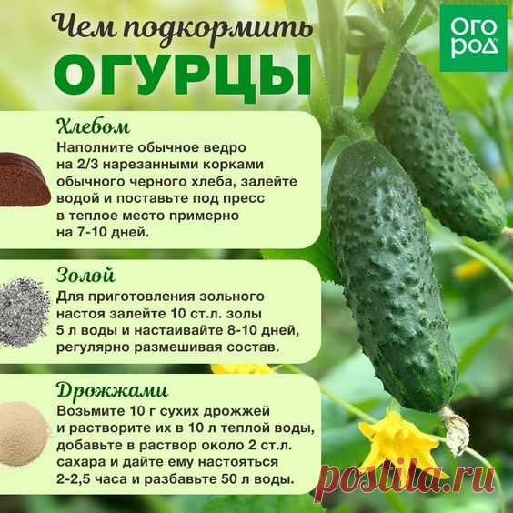 Садоводам-огородникам на заметку