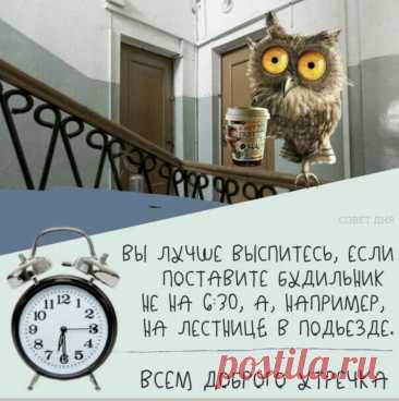 417d84ef.jpg (828×833)