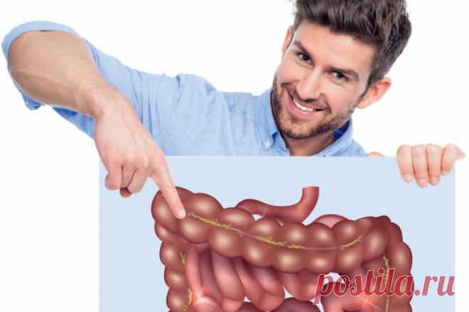 7 ПРАВИЛ ХОРОШЕЙ РАБОТЫ КИШЕЧНИКА