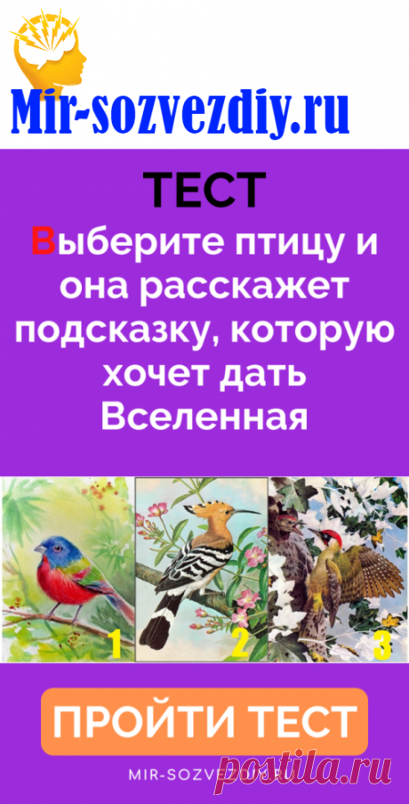 Тест: Выберите птицу и она расскажет подсказку, которую хочет дать Вселенная
