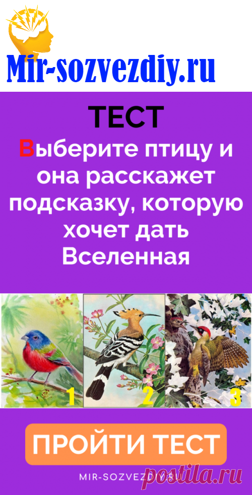Тест: Выберите птицу и она расскажет подсказку, которую хочет дать Вселенная