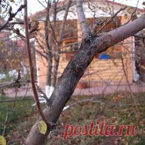 Новости - МирТесен
