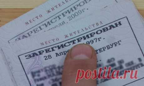 Новые правила: детей разрешили прописывать в чужих квартирах | Finexpo | Дзен