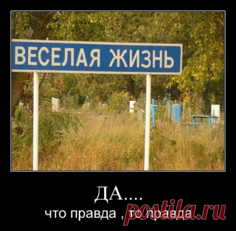 Веселая жизнь