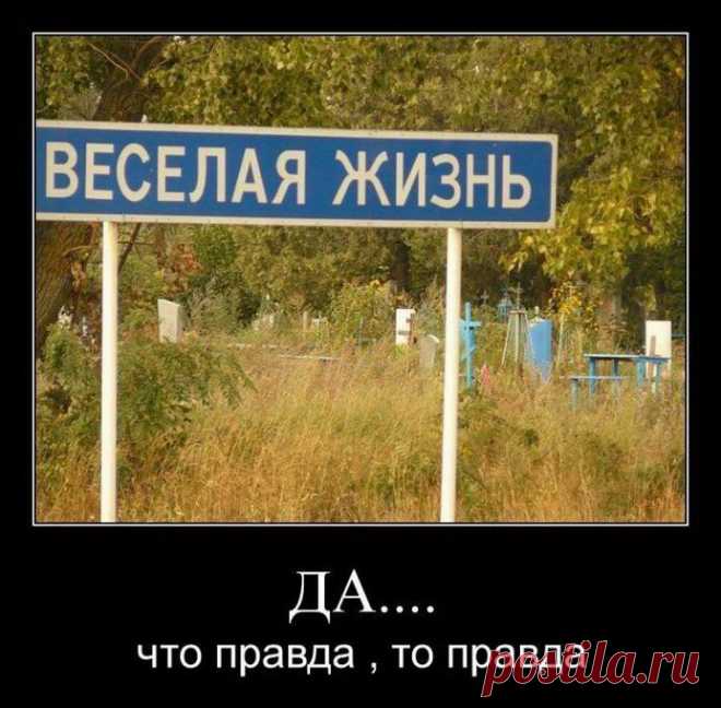 Веселая жизнь