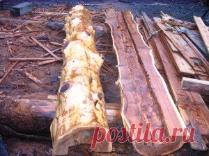 Other Products | Wood Wise Mill