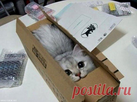 Судьба — очень удобное слово для тех, кто никогда не хочет принимать решений!