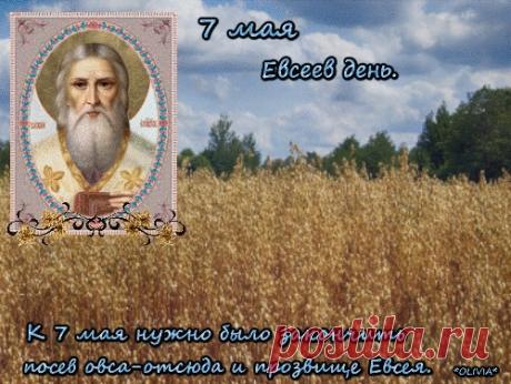 С праздником! Пусть святой Евсевий оберегает от неурожая и ненастья. Желаю ясного неба, удачного посева и богатого года! Открытки на Евсеев день!