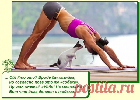 Хорошее настроение рядом