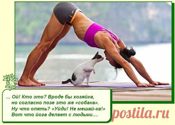 Хорошее настроение рядом