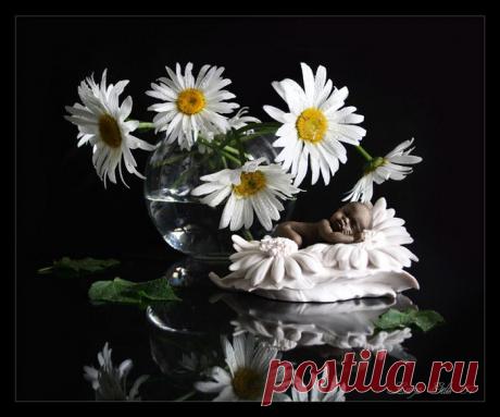 спокойной ночи любимый картинки с надписями: 31 тыс изображений найдено в Яндекс.Картинках