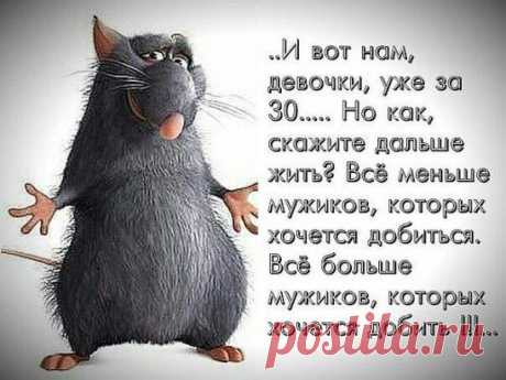 (17) Одноклассники