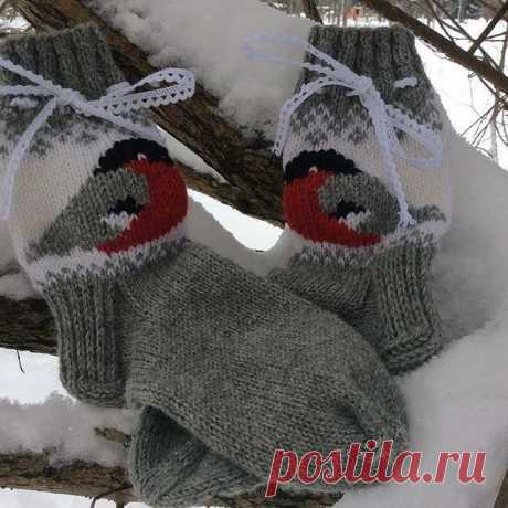 Различные схемы снегирей спицами — DIYIdeas