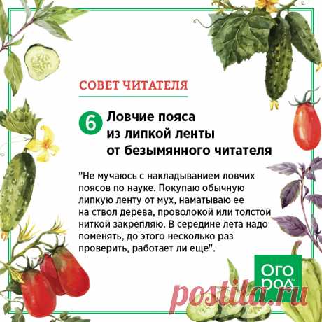 7 лучших советов наших читателей, которые мы получили в мае