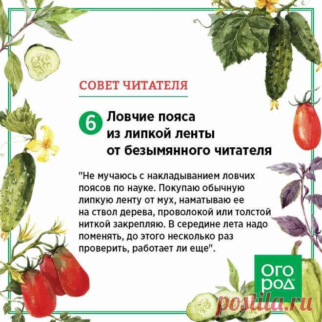 7 лучших советов наших читателей, которые мы получили в мае