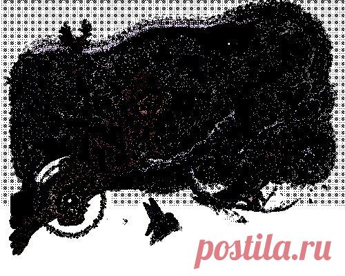 И птицы радуются