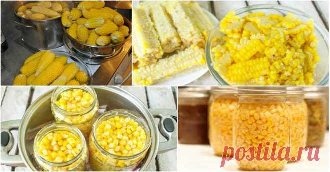 Как консервировать кукурузу