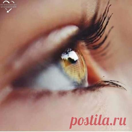 семья