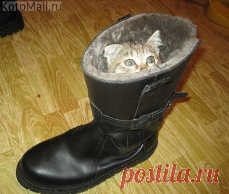 Юность в сапогах