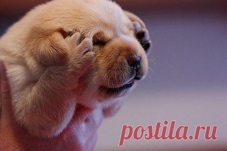 Мой Мир@Mail.Ru