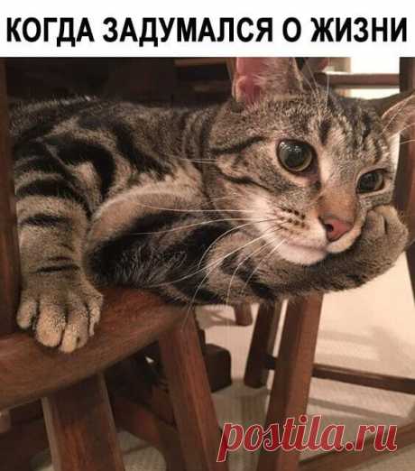 И смешно, и интересно!