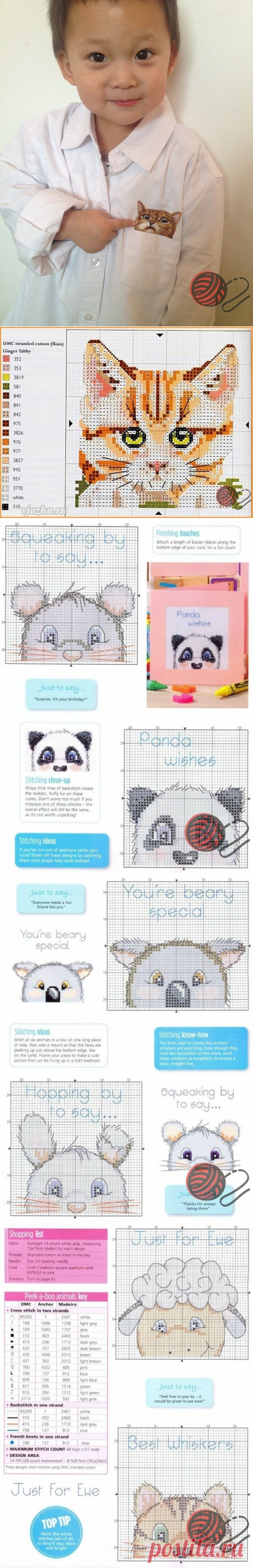 (48) Одноклассники