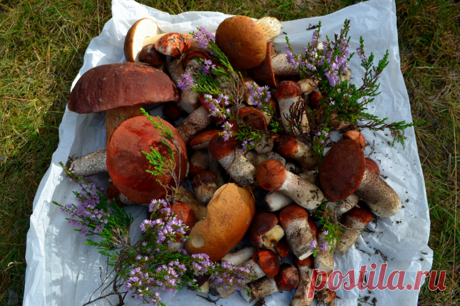 Чудесное лето