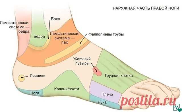 7 АКТИВНЫХ ТОЧЕК НА СТОПЕ ВЕРНУТ ВАС К ЖИЗНИ ЗА ПАРУ МИНУТ!