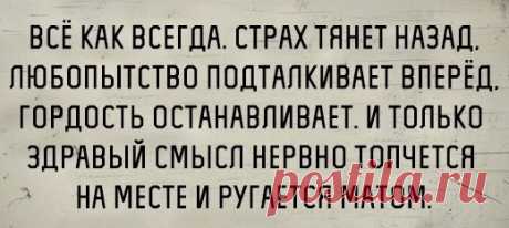 Фотографии на стене сообщества | 32 819 фотографий | ВКонтакте