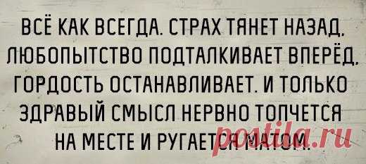 Фотографии на стене сообщества | 32 819 фотографий | ВКонтакте