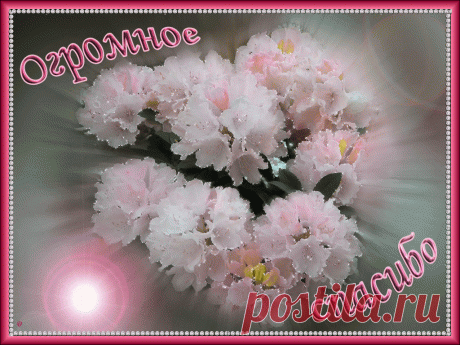 Ogromnoe-spasibo-3.gif (1024×768)