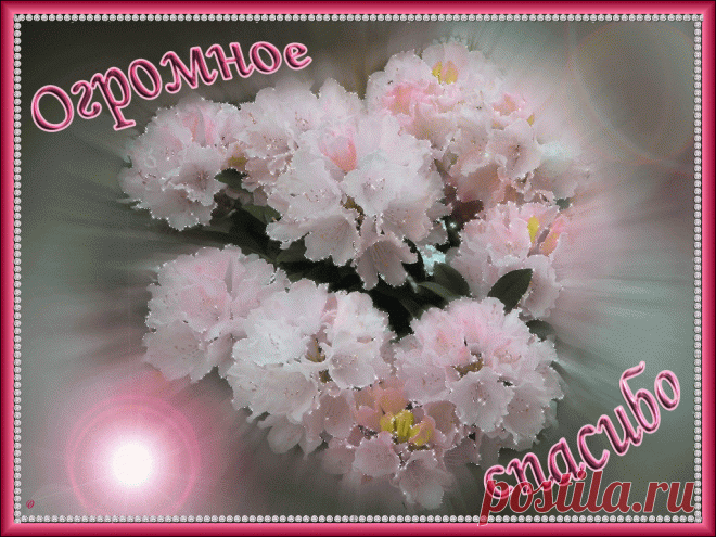 Ogromnoe-spasibo-3.gif (1024×768)