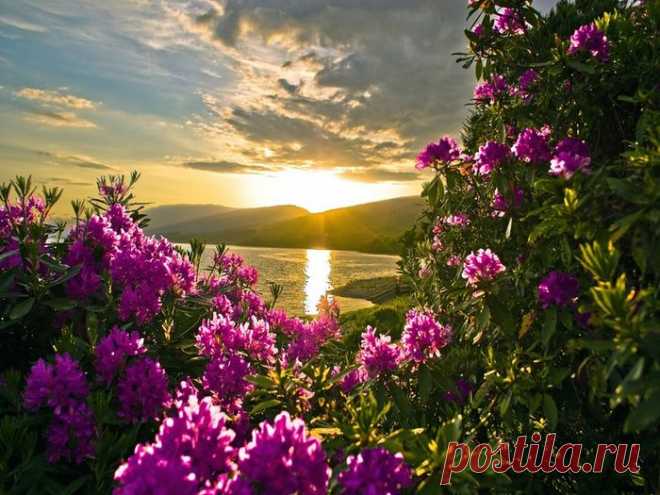 НЕИМОВЕРНАЯ КРАСОТА ПРИРОДЫ...