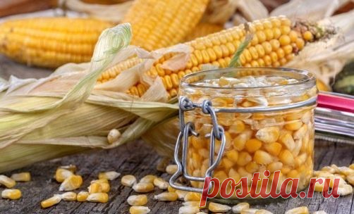 Консервирование кукурузы в домашних условиях