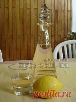 домашнее вино "Маркиза"