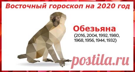 Восточный гороскоп на 2020 год Обезьяна: женщины и мужчины