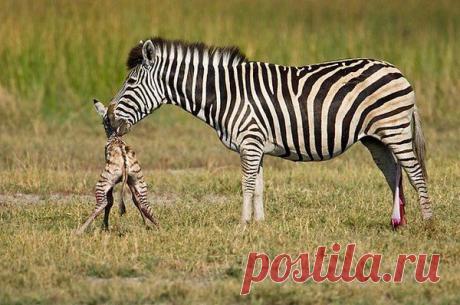 Интересные новости