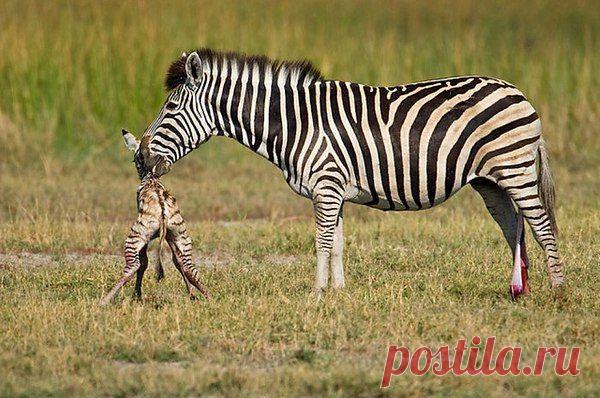 Интересные новости