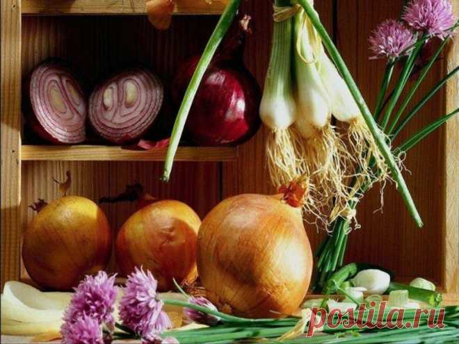 Эх, лук-лучок, золотая луковица...
