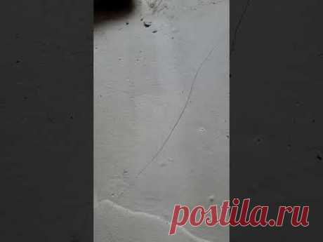 СТЯЖКА "ЗАДРАЛАСЬ". В ЧЁМ ПРИЧИНА?