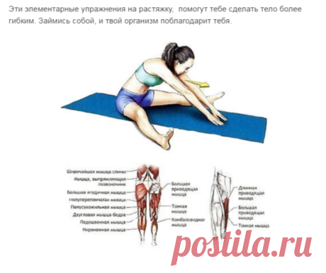 5 элементарных упражнений на растяжку: эффективный комплекс для развития гибкости